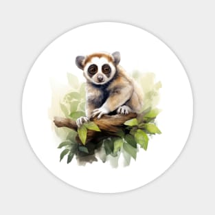 Slow Loris Magnet